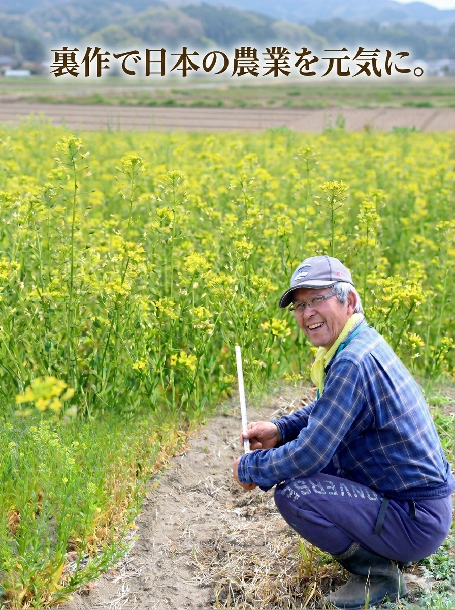 【20%お得!1カ月毎 定期購入】THE FINEST QUALITY CAMELINA OIL ROASTED (150ml)<送料込み>