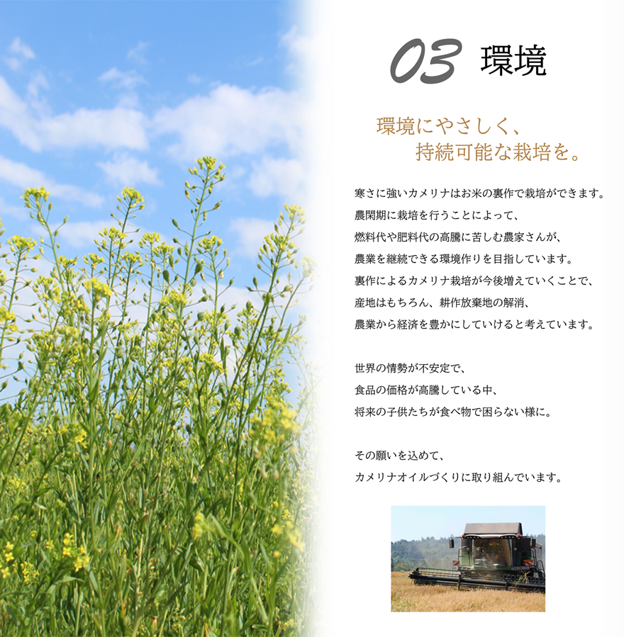 <贈品>大山崎油座商店國產亞麻薺油(1瓶、130g、禮盒裝)