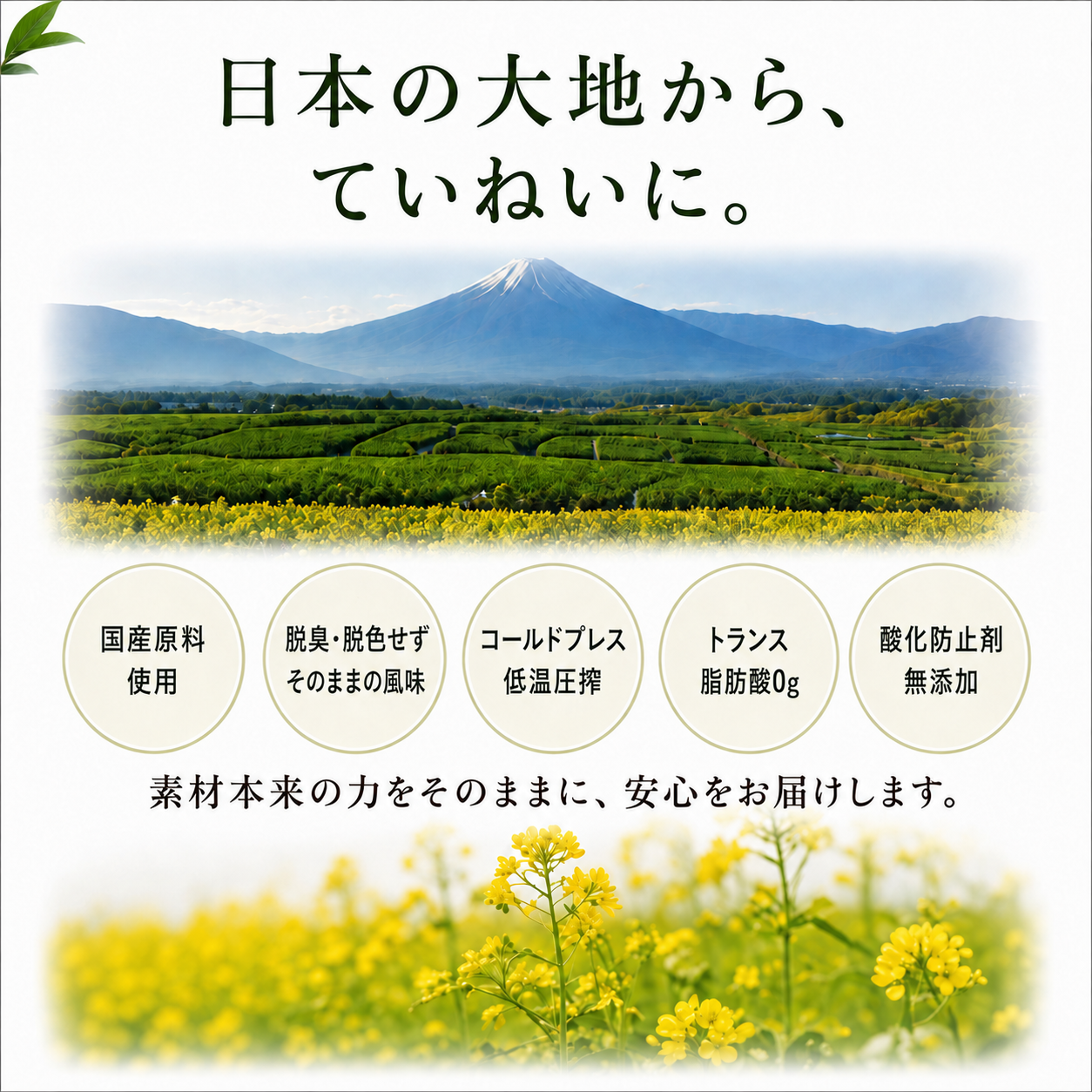 【単品購入】国産カメリナオイル 100ｇ