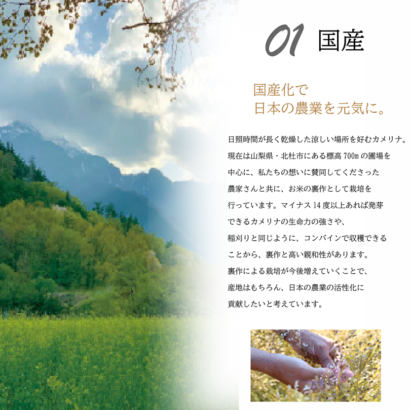 大山崎油座商店の国産カメリナオイル（130ｇ）